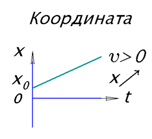 График Координаты тела при равномерном прямолинейном движении