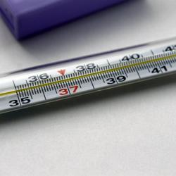 Каким термометром можно точнее измерить температуру – комнатным или медицинским